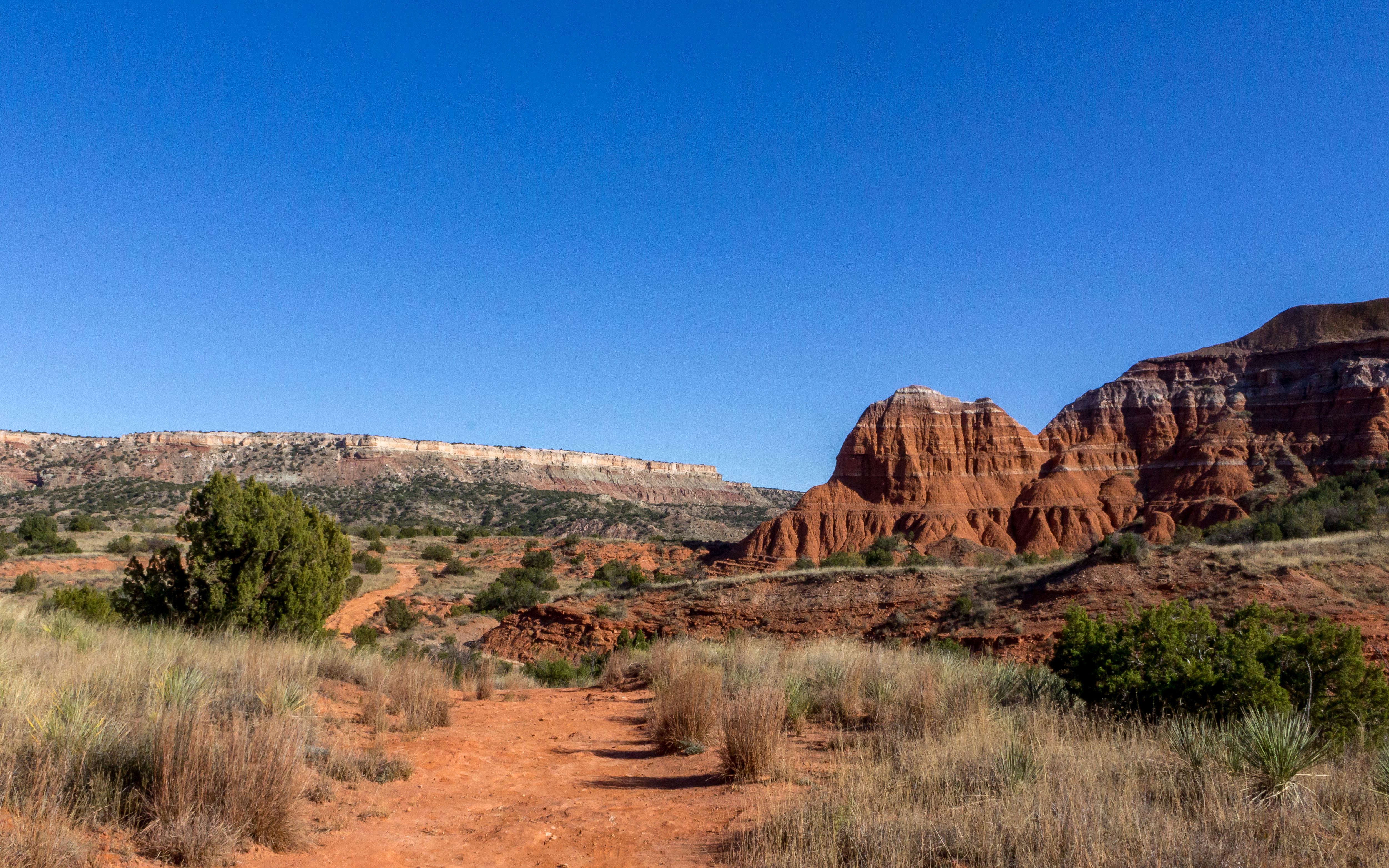 Palo Duro (36 of 51)