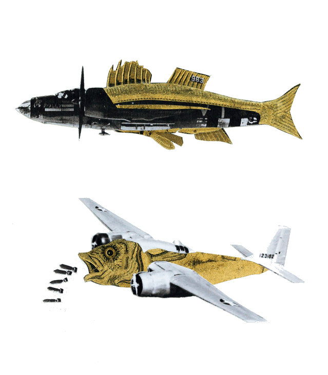 imageedit_12_4014716815