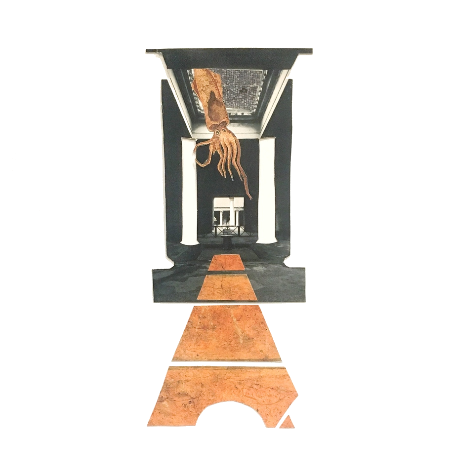 imageedit_21_4397847361