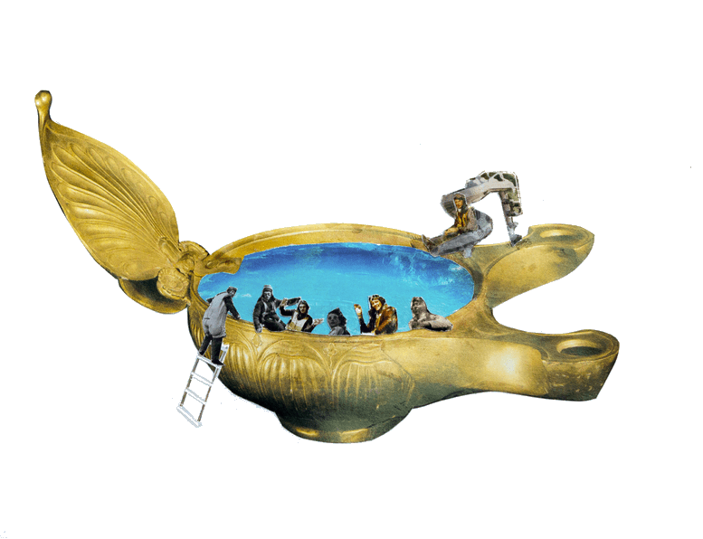 imageedit_4_5917616914