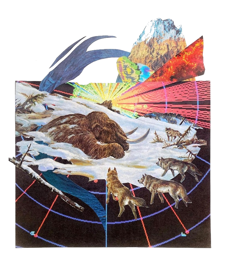 imageedit_4_3101075608