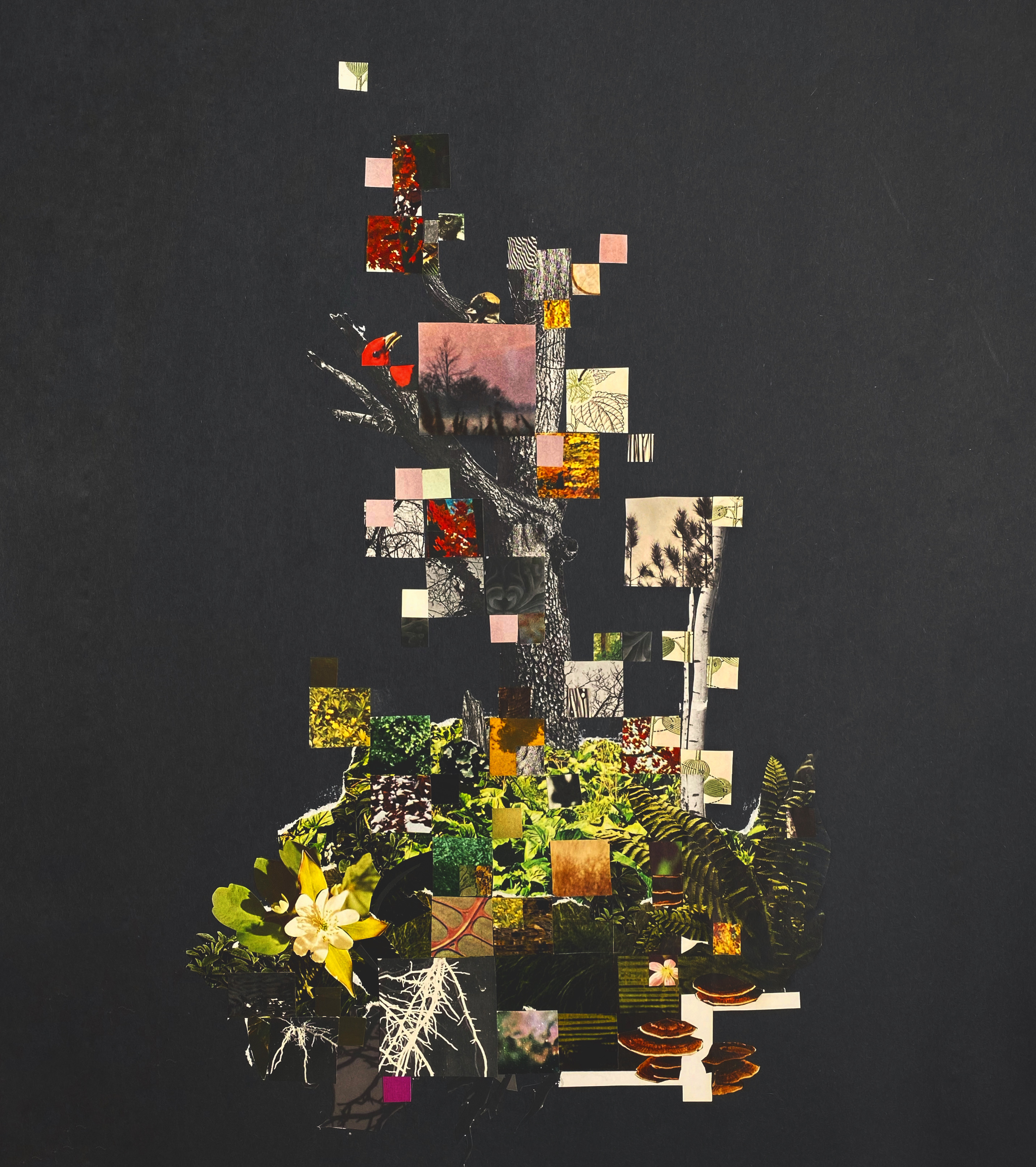 A7EB2526-7205-4546-845B-2D5B72EF58A2